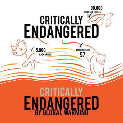 4 Illustrated posters showing the dangers of climate change, (1) a cartoon of an ostrich with it's head buried ignoring the effects of climate change, (2) Biblical verse calling for humans to be good stewards of the earth, (3) endangered species suffering the effects of global warming, (4) Uses a play on the Back to the future quote; shows earth from space with cutout lines over the ozone layer and reads: Ozone? where you're headed there won't be an ozone